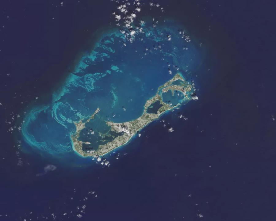Глобальные изменения в океане возле Бермудских островов будоражат умы ученых - «Процесс познания»