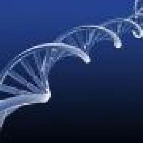 Ученые создали шесть искусственных аналогов ДНК