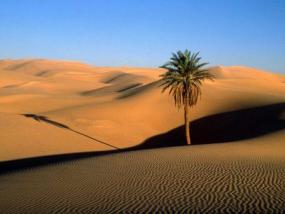 Загадки пустыни Сахара