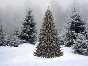 Как появился обычай наряжать новогоднюю елку?