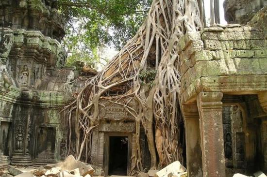 В джунглях Камбоджи прячется очень мн...