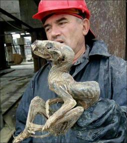 В сибирском алмазном руднике откопали очень странное существо
