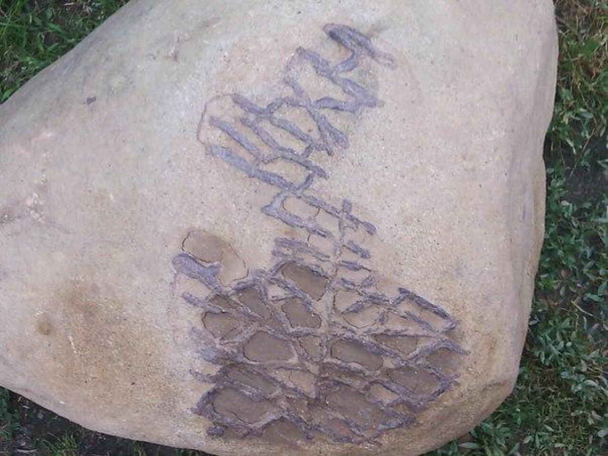Читать камень 11 полностью. Странные камни. Удивительная находка в Камне. Нашёл необычный камень. Кварцевые булыжники с загадочными письменами.