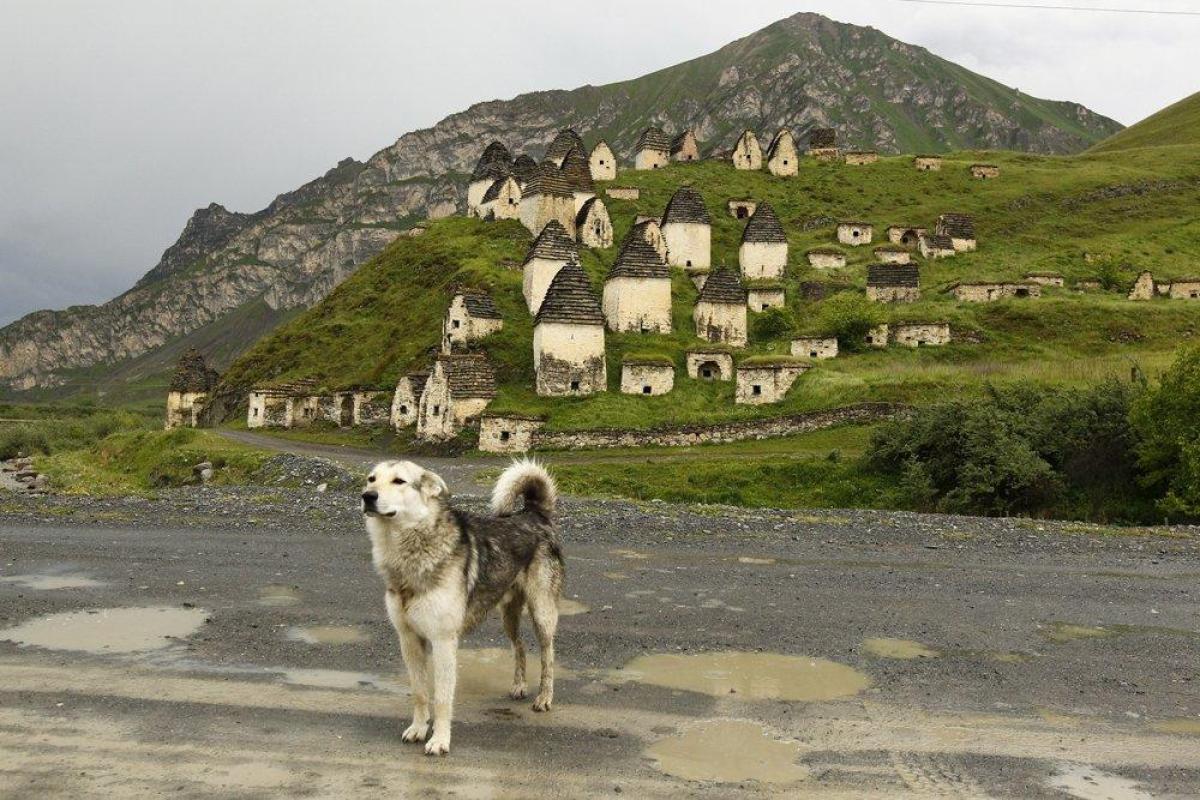 Собачья гора Осетия