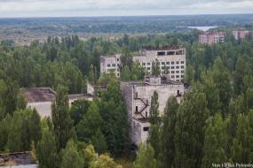 После Чернобыля: почему растения не болеют раком?