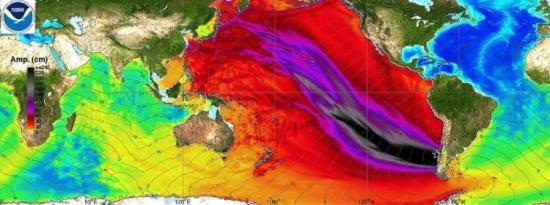 Масштабы цунами, вызванного землетряс...