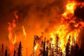 Лесные пожары могут привести к ядерной зиме