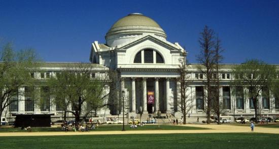 Национальном музее естественной истории
