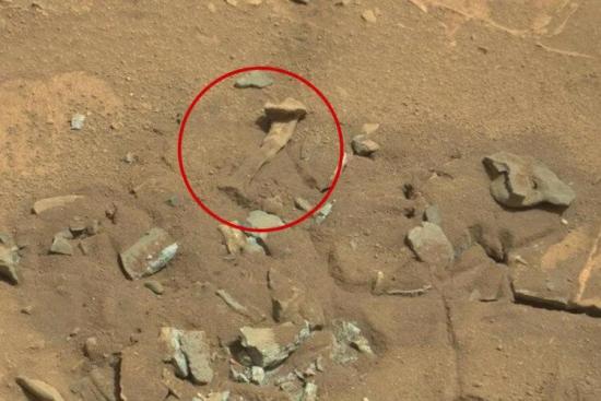 Та самая «кость» на поверхности Марса