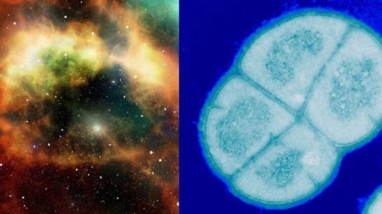 Далекие галактики и бактерии – есть ли связь?