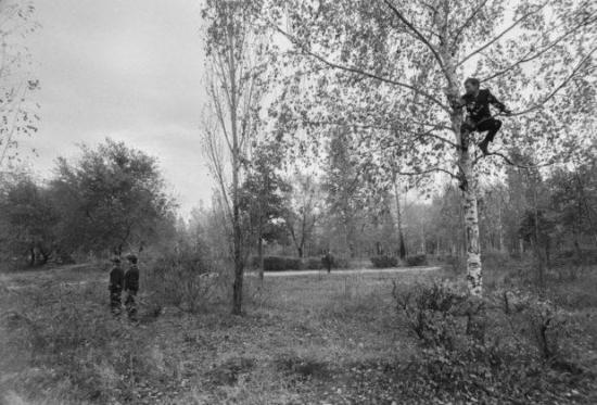 В этом кадре — место посадки НЛО в Воронеже, 27 сентября 1989-го.