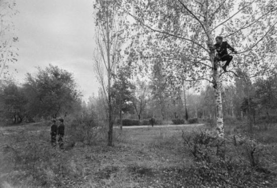 В этом кадре — место посадки НЛО в Воронеже, 27 сентября 1989-го.