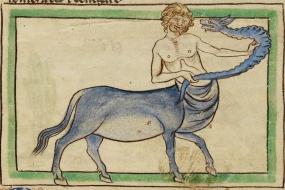 Странные звери средневековья