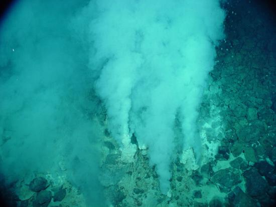 Геотермальные источники — один из первых оазисов жизни на Земле. Микроорганизмы-экстремофилы могли появиться вокруг них почти сразу после формирования океанов.