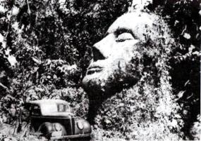 Загадочная каменная голова в Гватемале