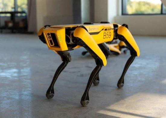 Обычная версия робота Spot от Boston Dynamics.