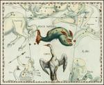 Карта созвездия Рыбы и Зевса и окружающих созвездий Иоганна Гевелия. Гданьск (Данциг), 1687 г.