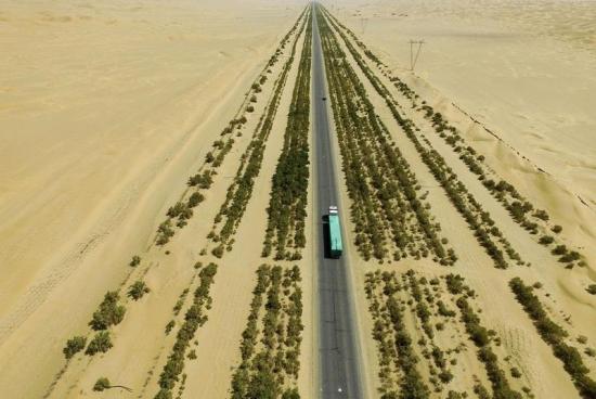 Через пустыню проложена дорога, вдоль которой искусственно высажены деревья.