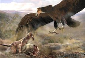 Самая большая птица в историческом прошлом Земли