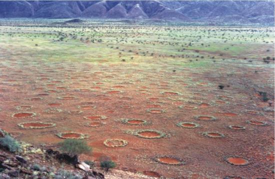 Волшебные круги Намибии.