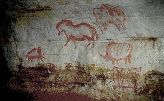 Рисунки мамонтов в пещере.