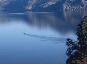 В канадском озере Оканаган живет монстр