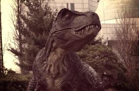 Можно ли, как в фильме, из ДНК вырастить динозавра?