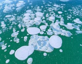 Загадочные пузыри озера Нукабира