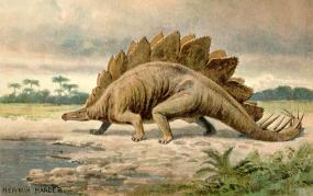 На юге Чили найдены останки динозавров с шипами на хвосте