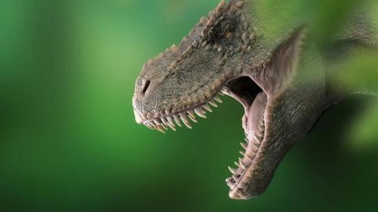Анализ следов говорит о том, что предки крокодила ходили на задних лапах, как тиранозавр.
