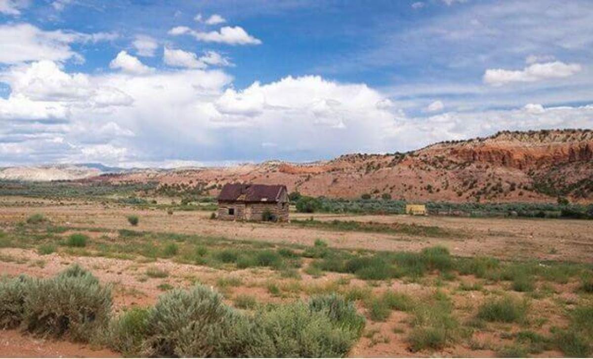 Raunchy Ranch