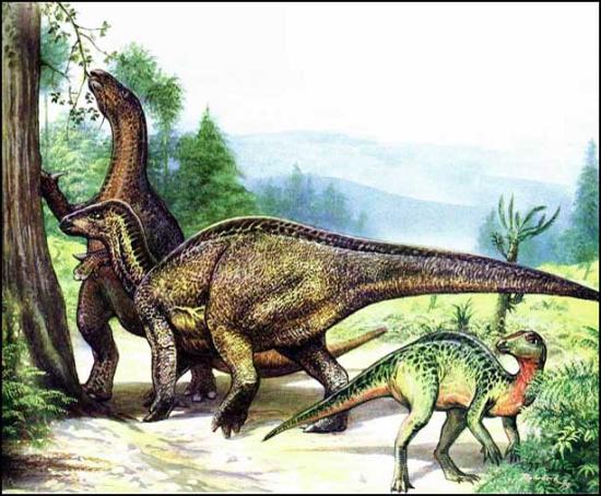 Клювоносый ящер игуанодон (слева) и газелевый динозавр гипсилофодон (справа).