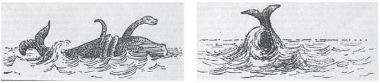 Наброски морского змея «Полина», сделанные капитаном Древаром. Газета «Graphic», 27 января 1877 г.