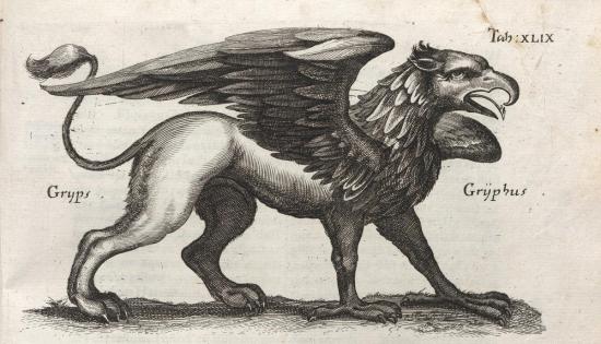 Грифон в старинной книге о животных (ок. 1652 г.)