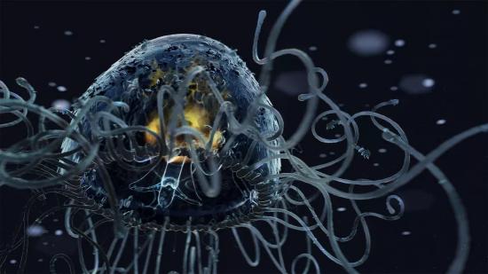 Turritopsis nutricula