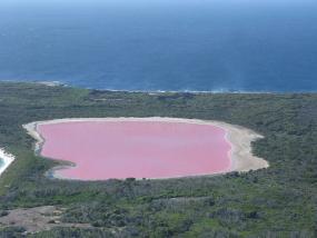 Необычные краски планеты: розовые озёра и красные водопады