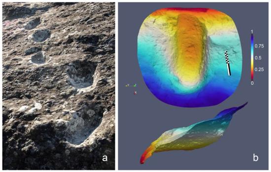Следы на века: отпечатки в окаменевшем пепле.