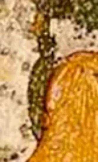 Фрагмент иконы Рублёва. Рис. № 4.