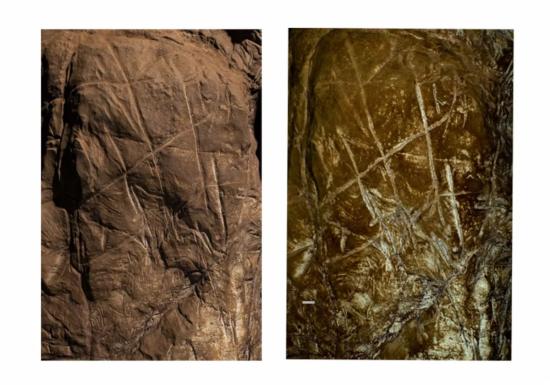 Самое крупное изображение на панели А - 'хэштег'