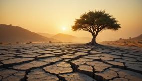 Шёпот зелени: как растения предчувствуют катастрофы