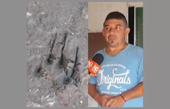 Очевидец и след предполагаемой чупакабры