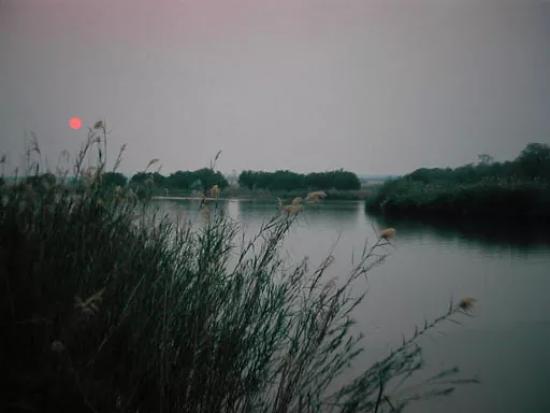 Река Окаванго
