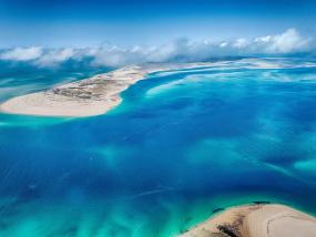 Затонувший лес, который не погиб