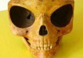 Силендский череп – какова природа данной находки?