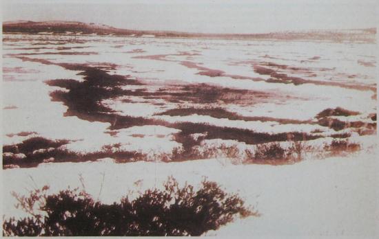 Топи реки Тунгуски, в районе которых предположительно упал метеорит. Журнал «Вокруг света», 1931 год.