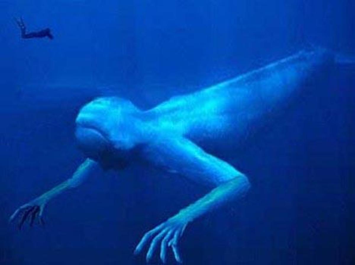Монстры люди видят. Морское чудовище Нинген. Нинген: чудовище Антарктики. Нинген японский криптид.