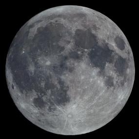 НАСА скрывает жизнь на Луне