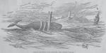 Рисунок судового капеллана Э. Л. Пенни встречи Морского змея с «Паулиной», опубликованный в «Illustrated London News» 20 ноября 1875 г.