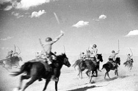 Как кошки, верблюды и другие животные помогали Красной Армии одержать победу во Второй мировой войне
