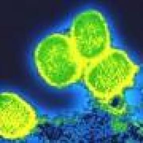Вирус оспы: критический момент в судьбе вируса-убийцы